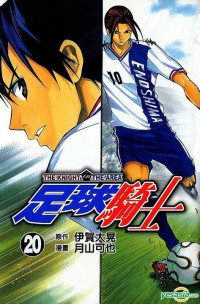 Image of THE KNIGHT IN THE AREA 20