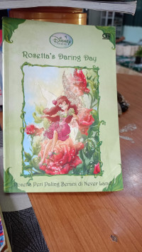 Image of rosetta's daring day